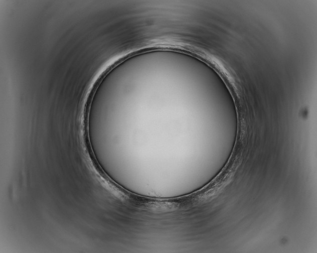 X0000100871331200806200853