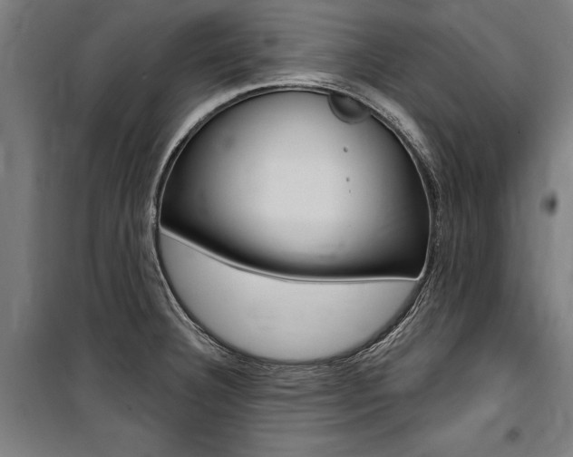 X0000100871332200806200853