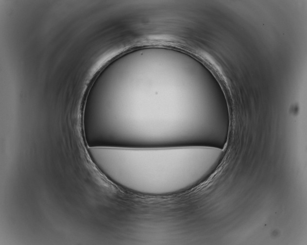 X0000100871336200806200854