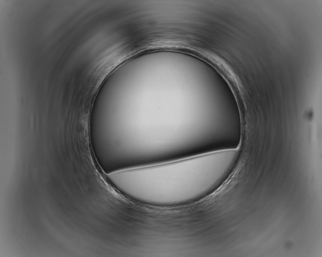 X0000100871337200806200854
