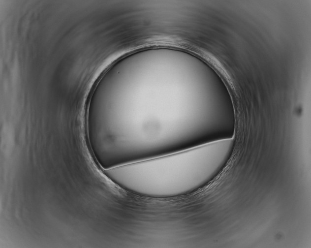 X0000100871339200806200854