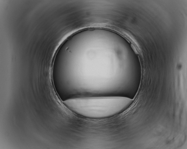 X0000100871340200806200854