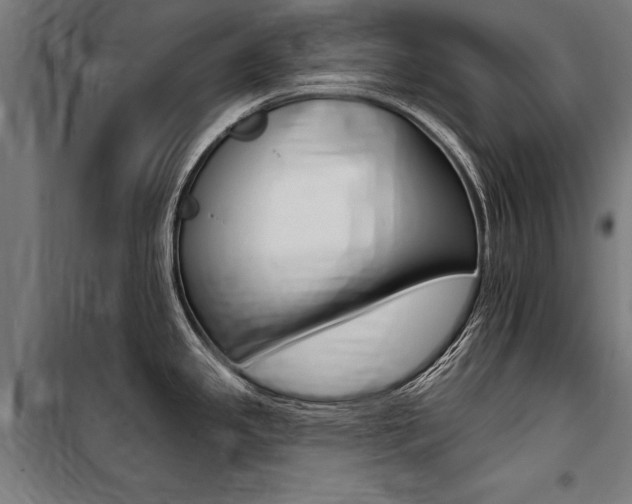 X0000100871341200806200854