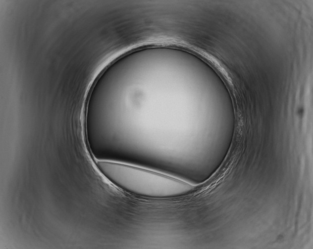 X0000100871343200806200854
