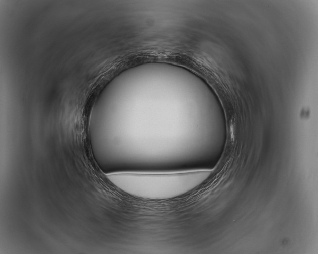 X0000100871347200806200853