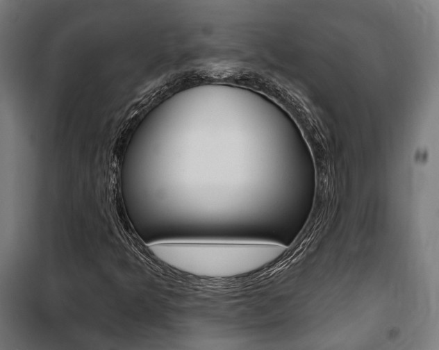 X0000100871349200806200853