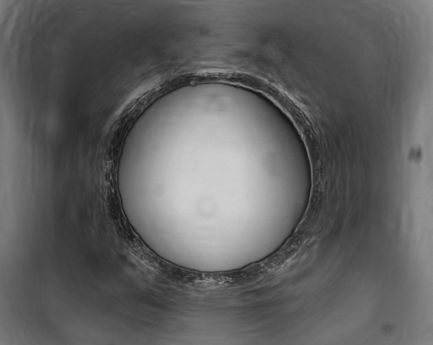 X0000100871351200806200853