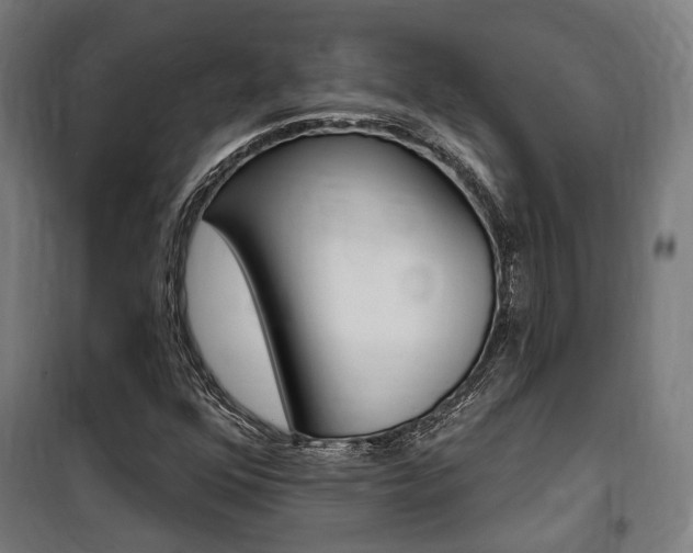 X0000100871352200806200853