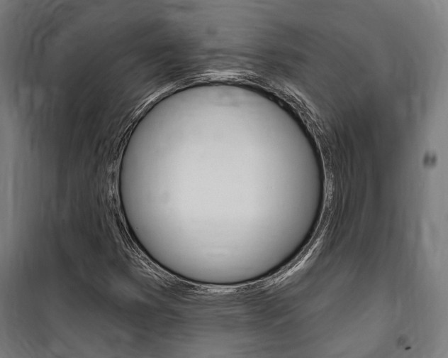 X0000100871353200806200853