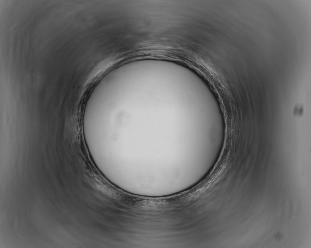 X0000100871354200806200853