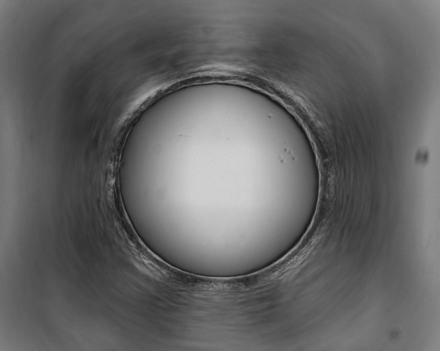 X0000100871355200806200853