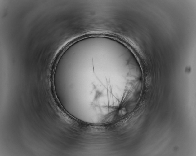 X0000100871356200806200853