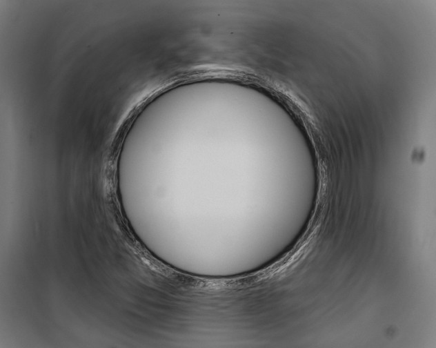 X0000100871357200806200853