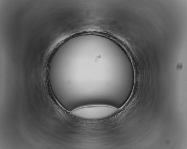 X0000100871359200806200853