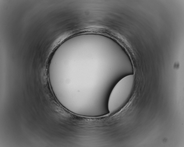 X0000100871362200806200853