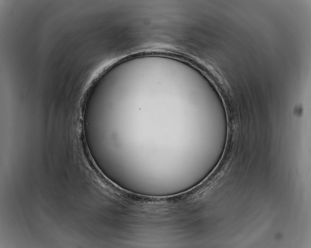 X0000100871363200806200853