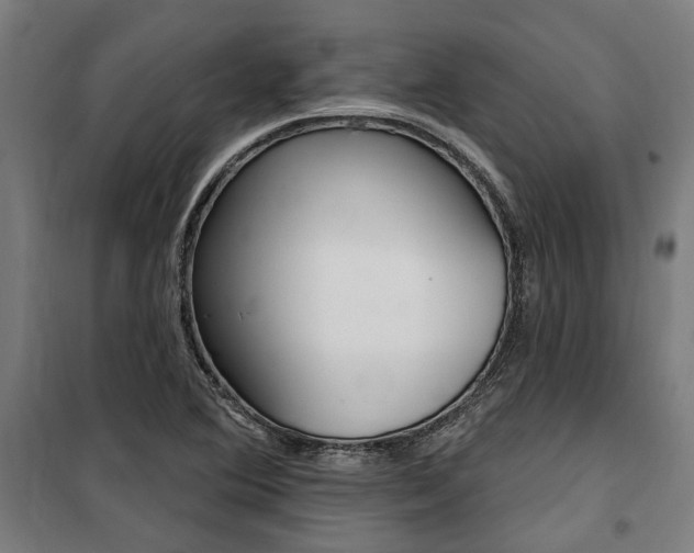 X0000100871364200806200853
