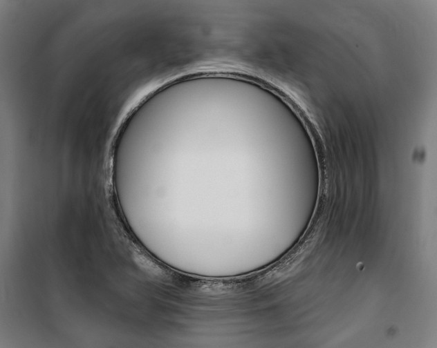 X0000100871366200806200853
