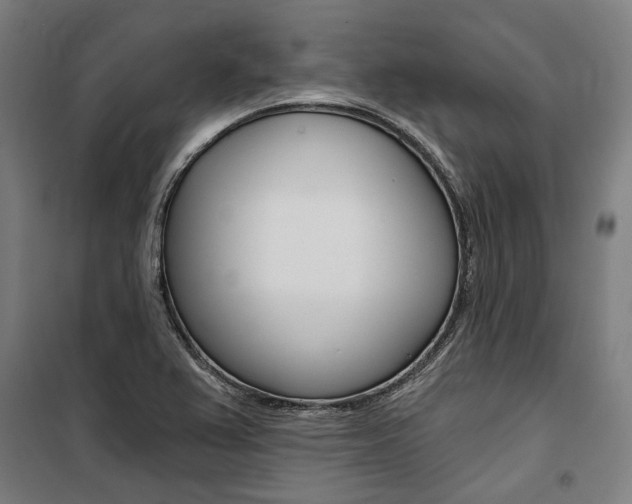 X0000100871367200806200853