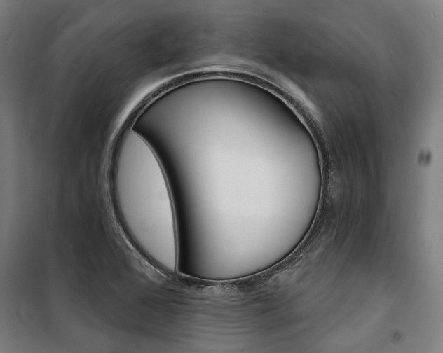 X0000100871368200806200853