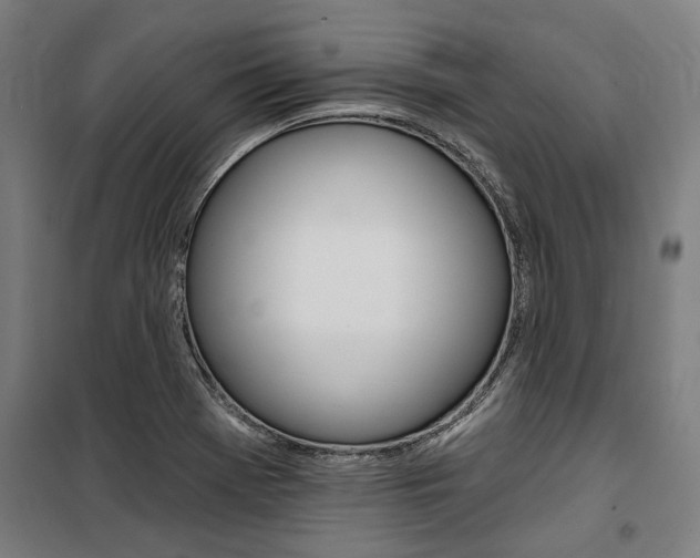 X0000100871369200806200852