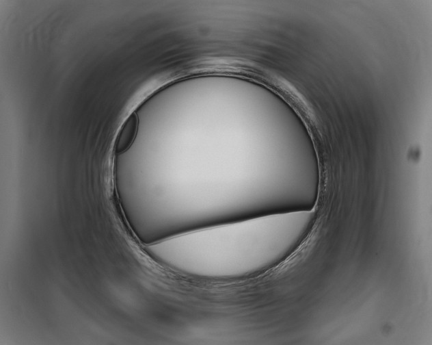 X0000100871370200806200852