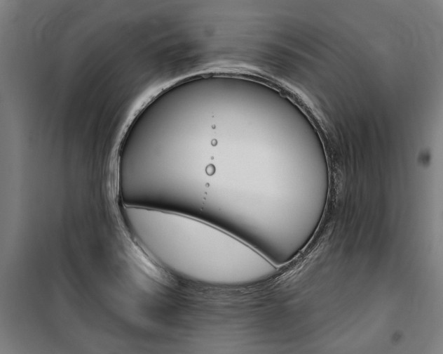 X0000100871371200806200852