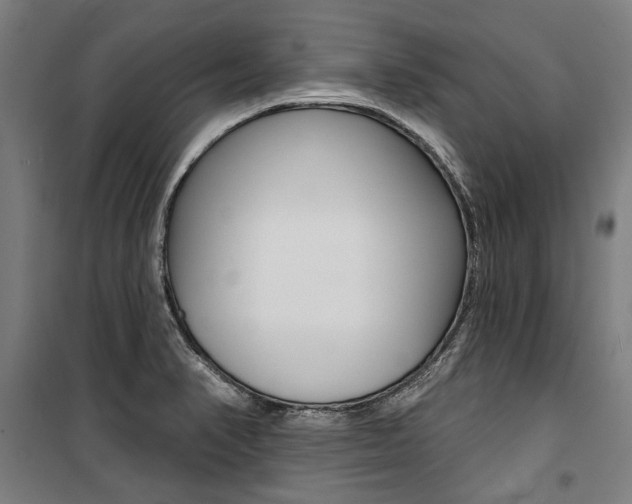 X0000100871374200806200852