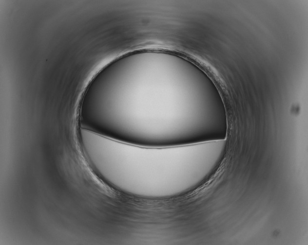 X0000100871375200806200852