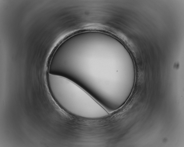 X0000100871376200806200852