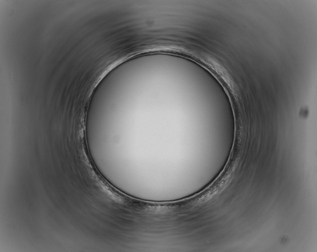 X0000100871377200806200852