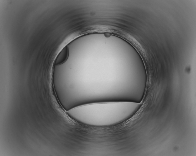 X0000100871378200806200852
