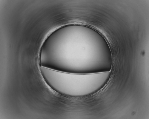 X0000100871379200806200852