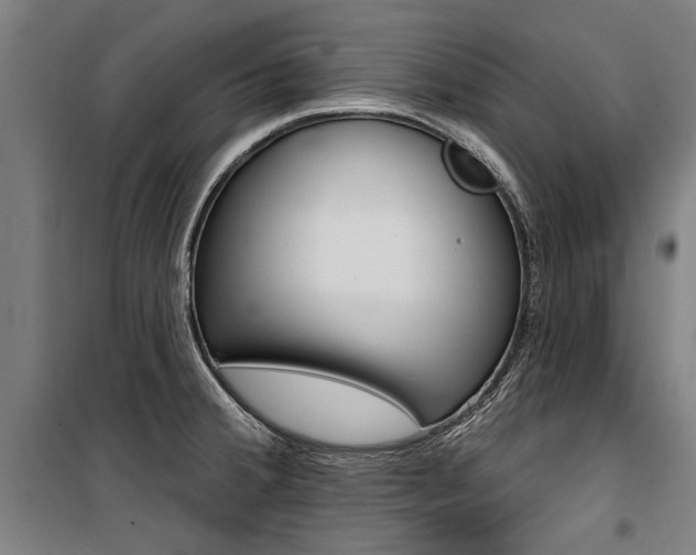 X0000100871380200806200852