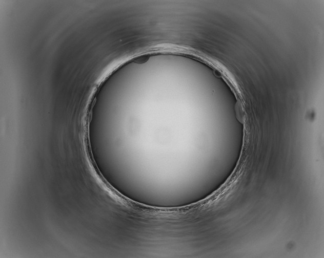 X0000100871381200806200852