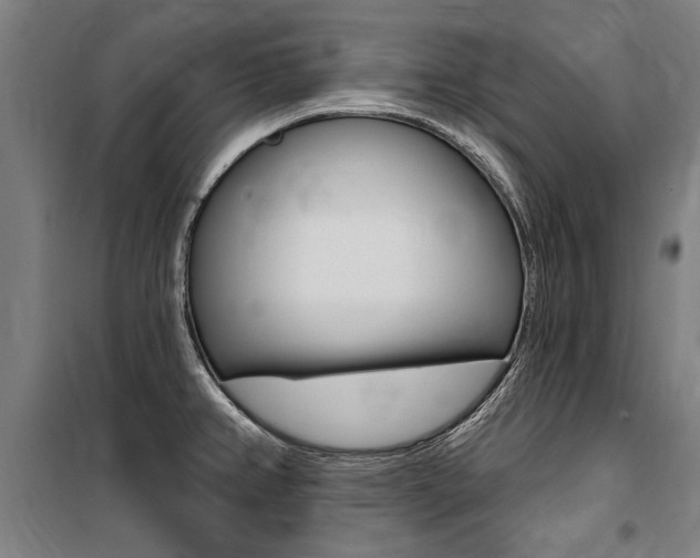 X0000100871382200806200852