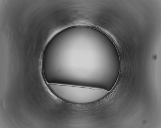 X0000100871383200806200852