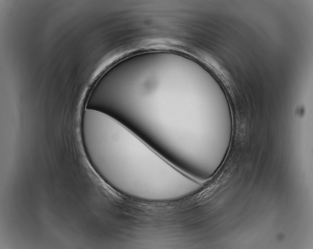 X0000100871384200806200852