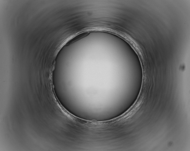 X0000100871385200806200852