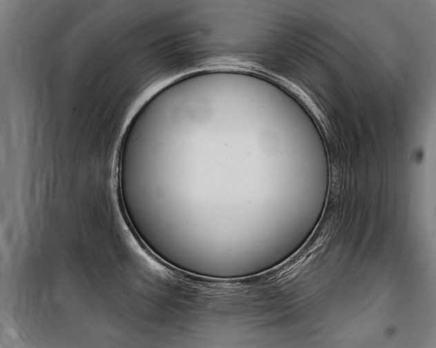 X0000100871387200806200852