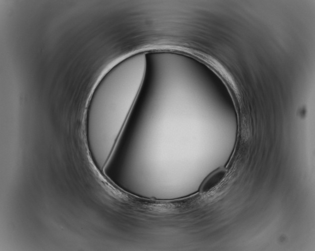 X0000100871388200806200852