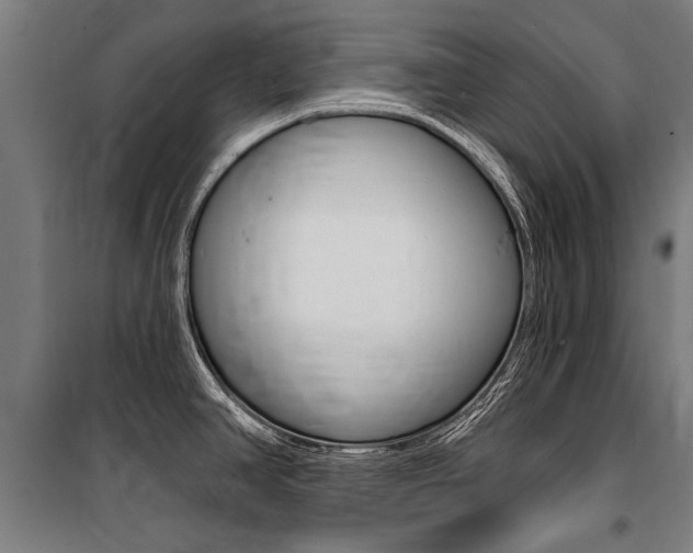 X0000100871390200806200852
