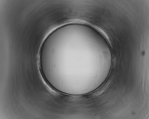 X0000100871391200806200852