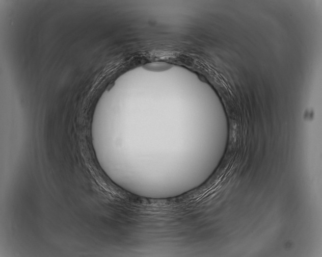 X0000100871393200806200851
