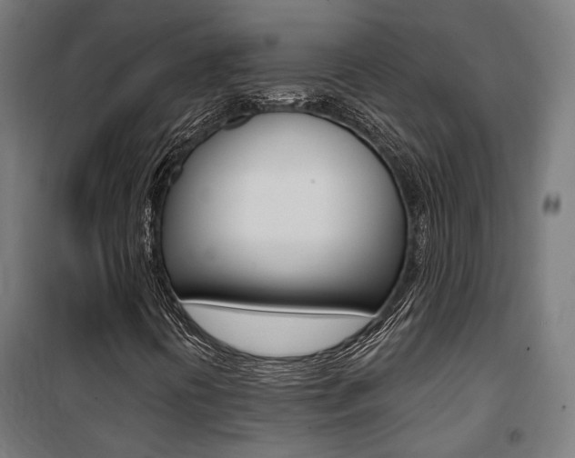 X0000100871394200806200851