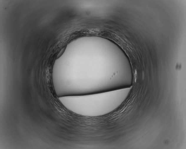 X0000100871395200806200851