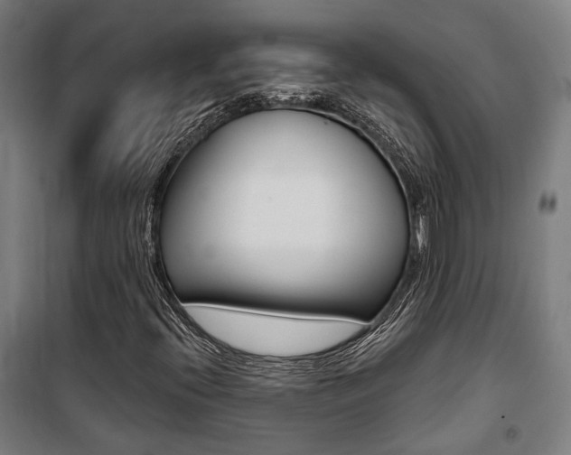 X0000100871396200806200851