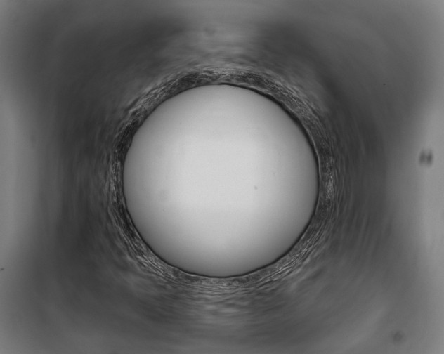 X0000100871397200806200851