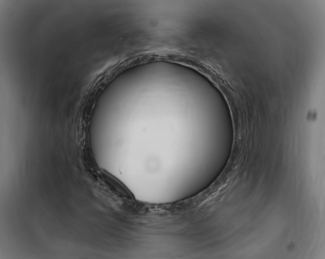 X0000100871398200806200851