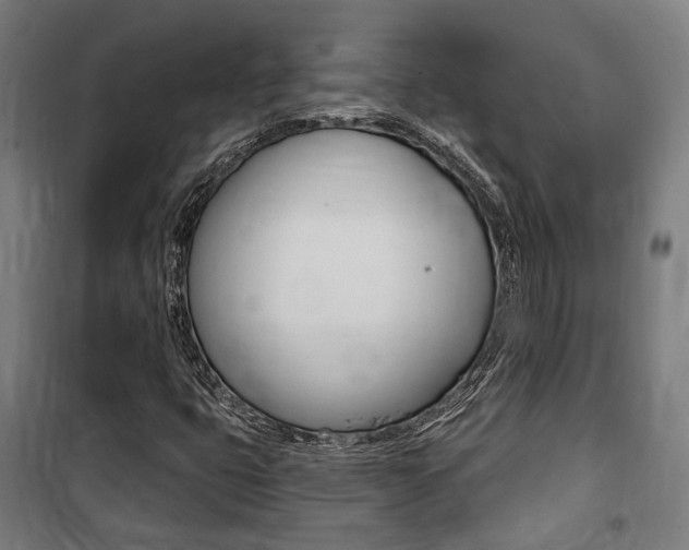 X0000100871399200806200851